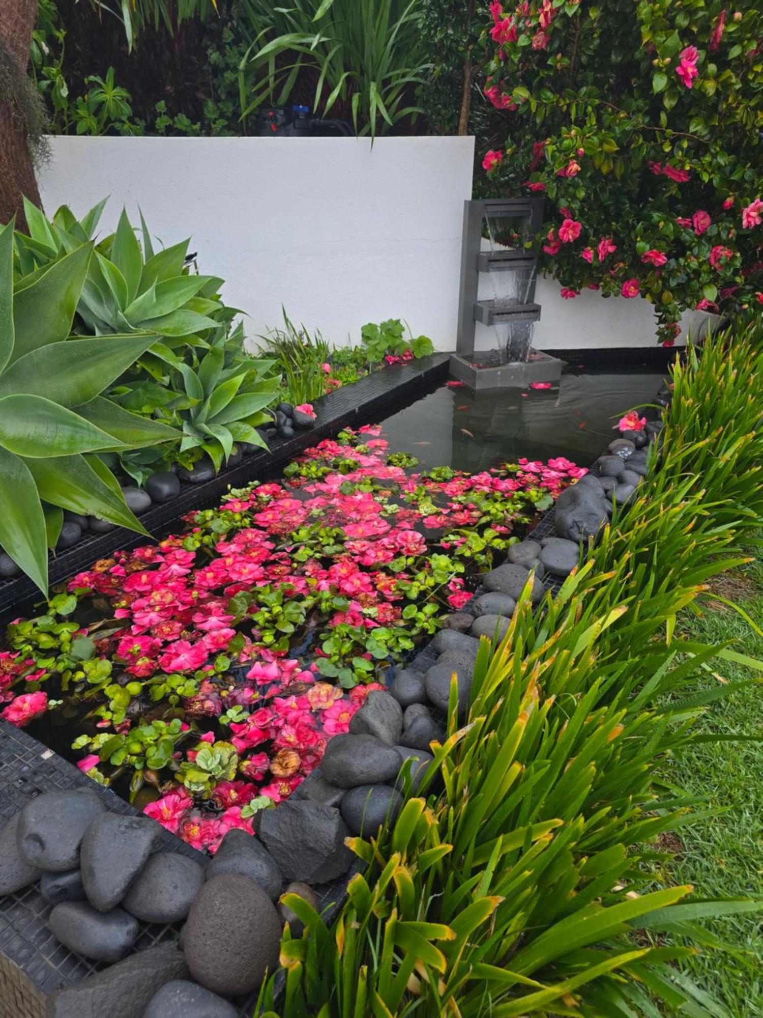 Horizon Retreat Apartment Calheta  Exterior foto